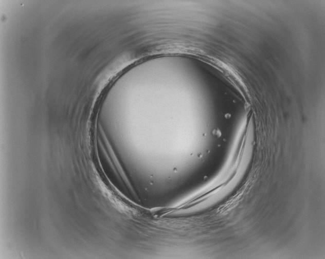 X0000060780995200511241815