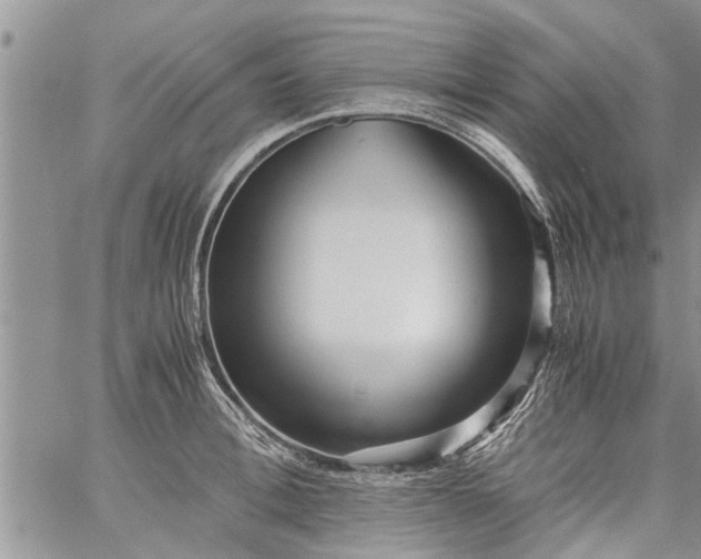 X0000060780996200511241815