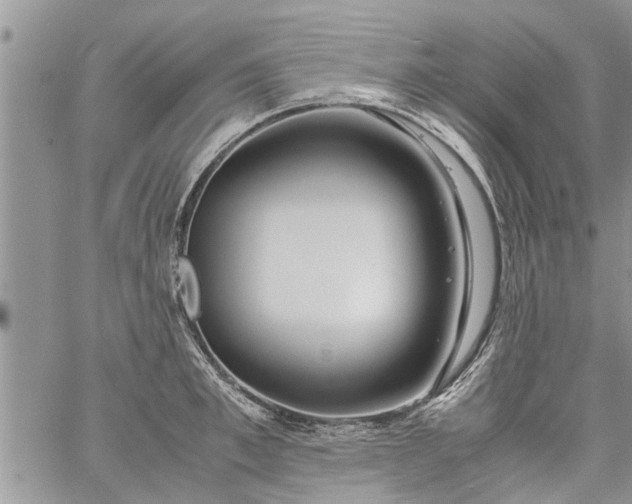 X0000060780997200511241815