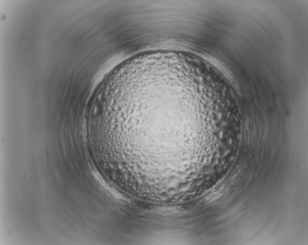 X0000060780998200511241815