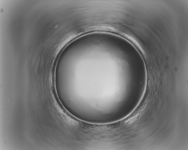 X0000060780999200511241815