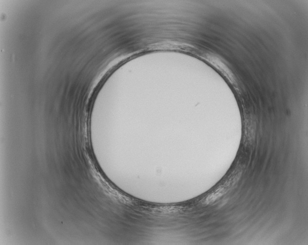 X0000060781000200511241815