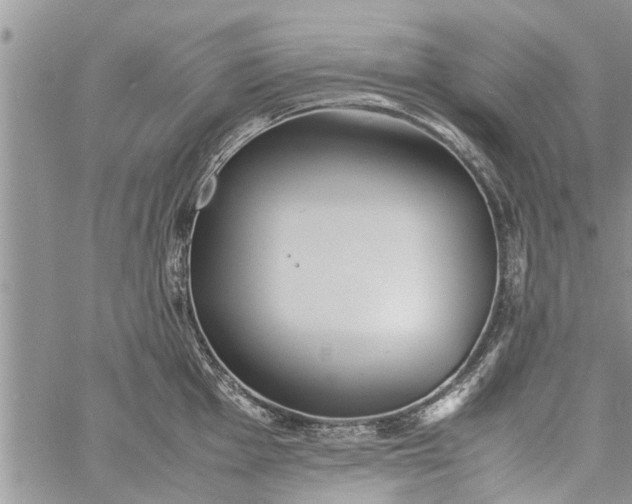 X0000060781001200511241815