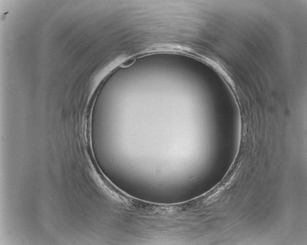 X0000060781003200511241815