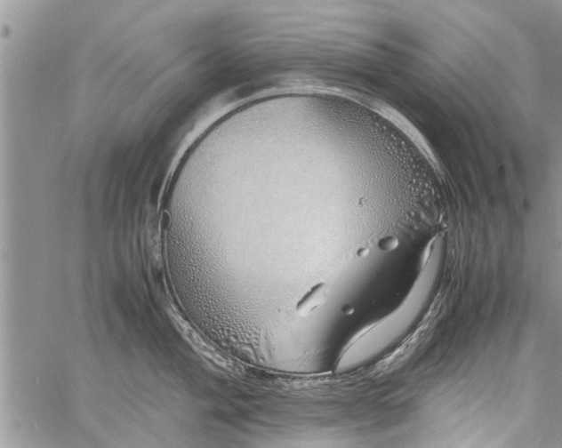 X0000060781004200511241815