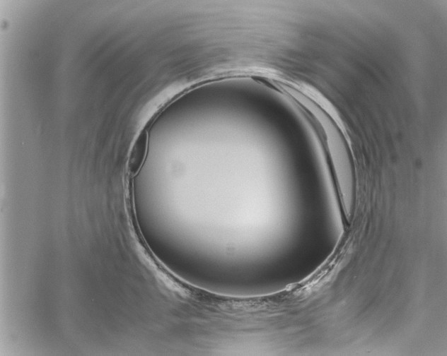 X0000060781005200511241815