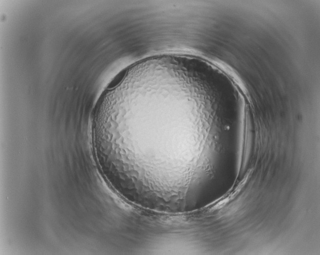 X0000060781006200511241815