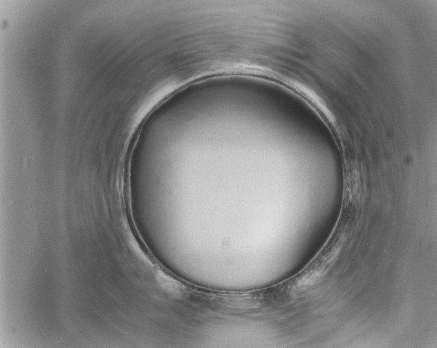 X0000060781007200511241815