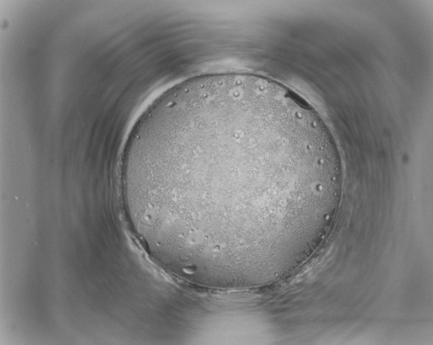 X0000060781008200511241815