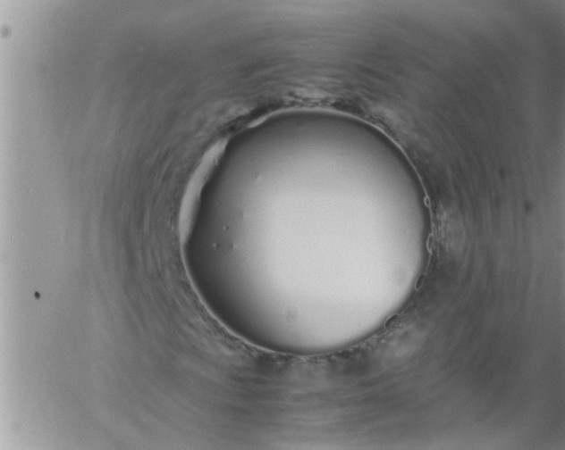 X0000060781009200511241814