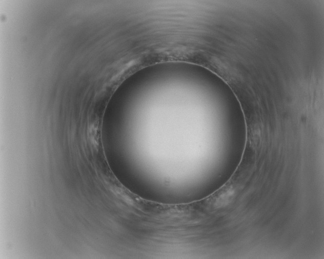 X0000060781010200511241814