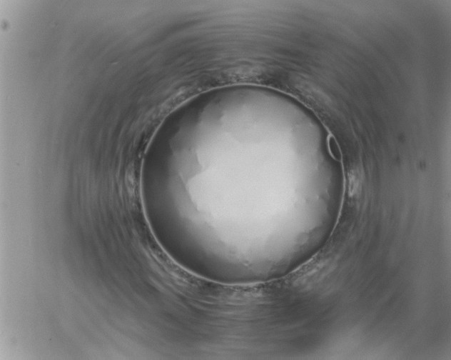 X0000060781011200511241814