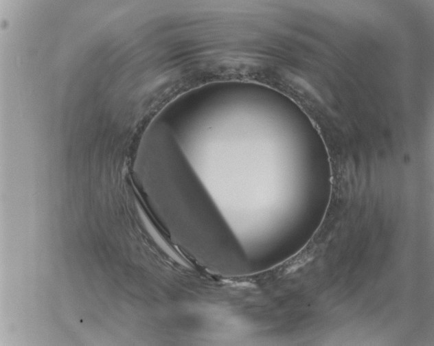 X0000060781013200511241814