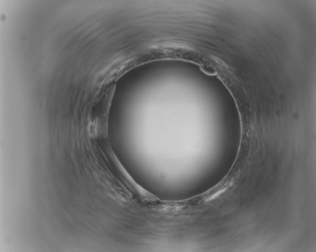 X0000060781014200511241814