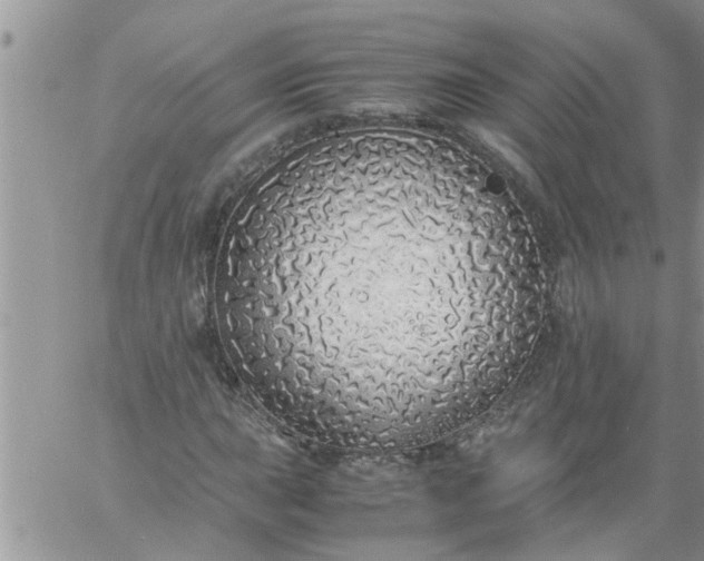 X0000060781015200511241814