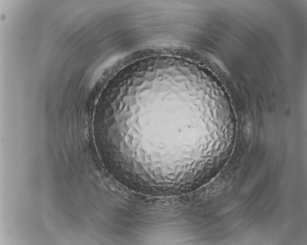 X0000060781016200511241814