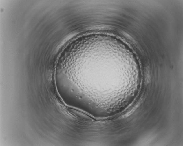 X0000060781017200511241814