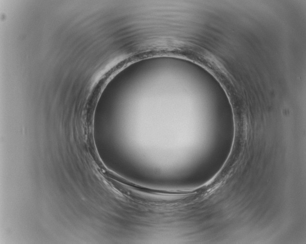 X0000060781018200511241814