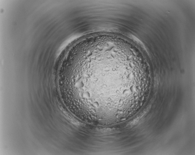 X0000060781019200511241814