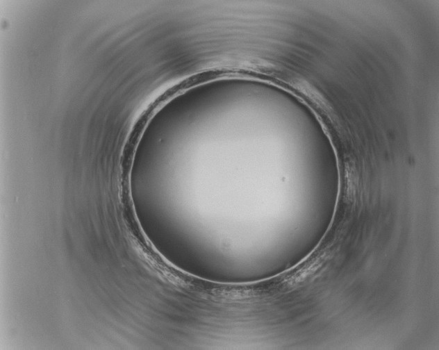 X0000060781020200511241814