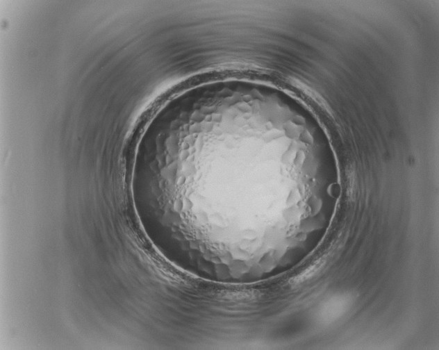 X0000060781021200511241814