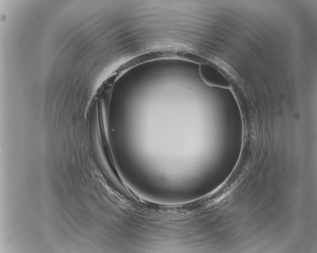 X0000060781022200511241814