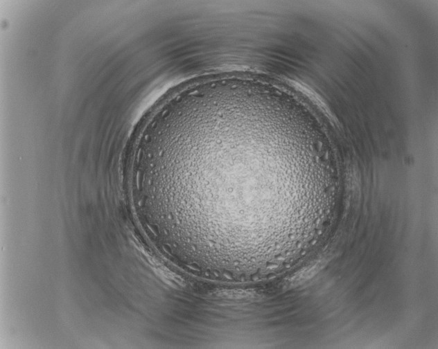 X0000060781023200511241814