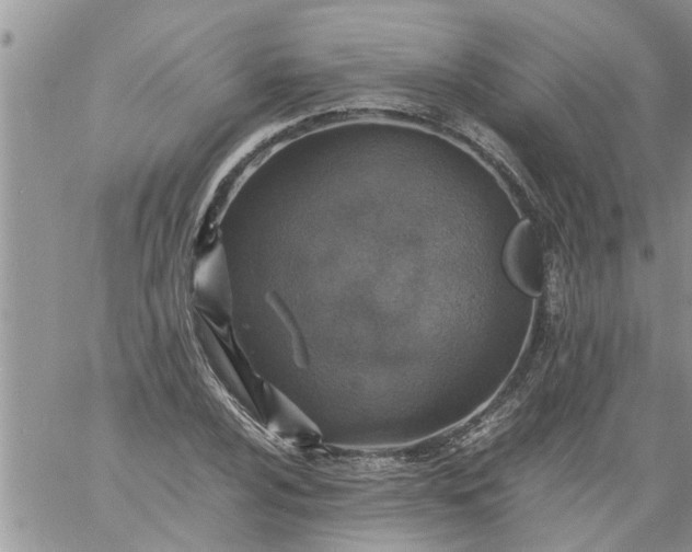 X0000060781024200511241814