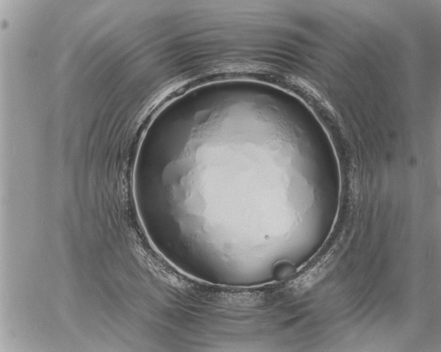 X0000060781025200511241814