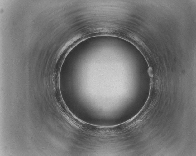 X0000060781026200511241814