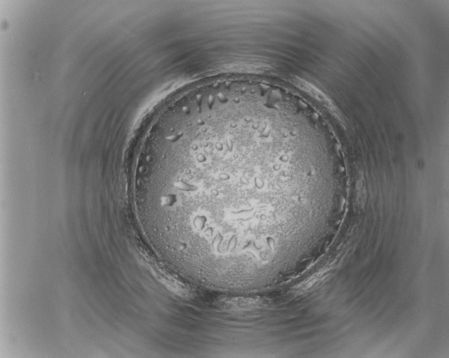 X0000060781027200511241814