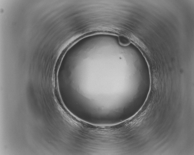 X0000060781028200511241814