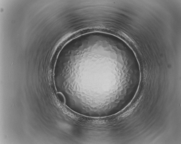 X0000060781029200511241814