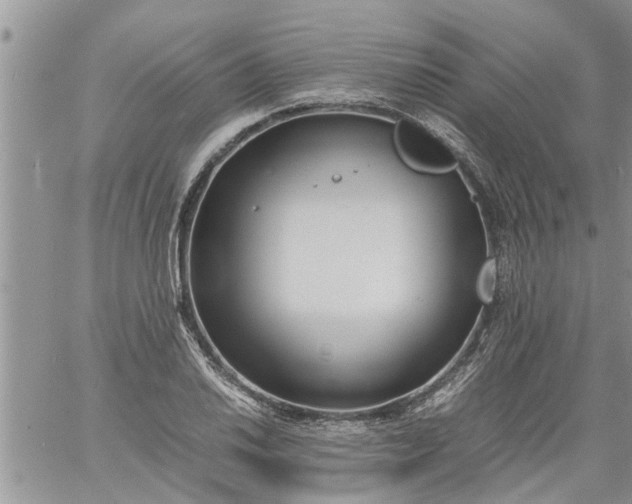 X0000060781030200511241814