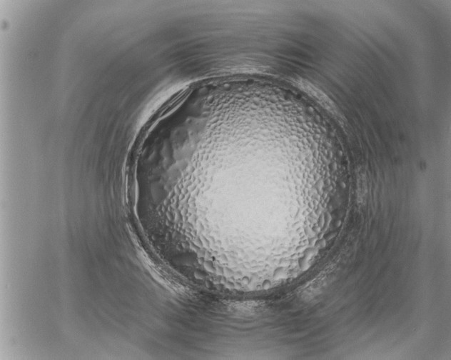 X0000060781031200511241814