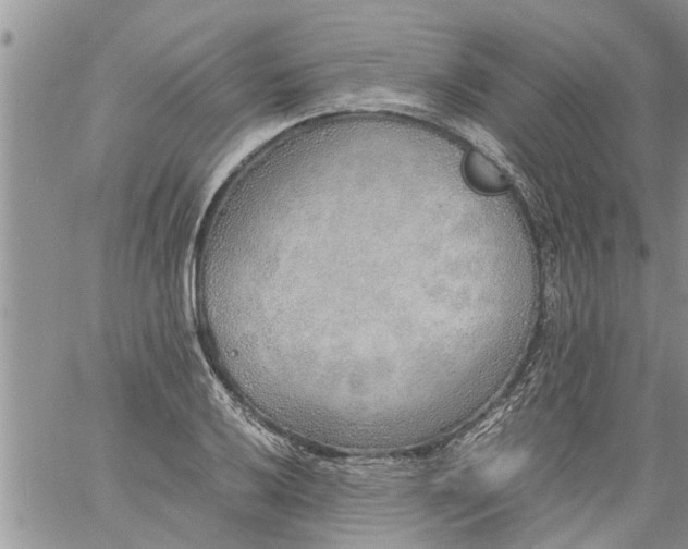 X0000060781032200511241814