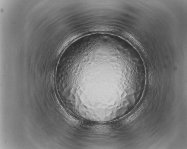 X0000060781033200511241814