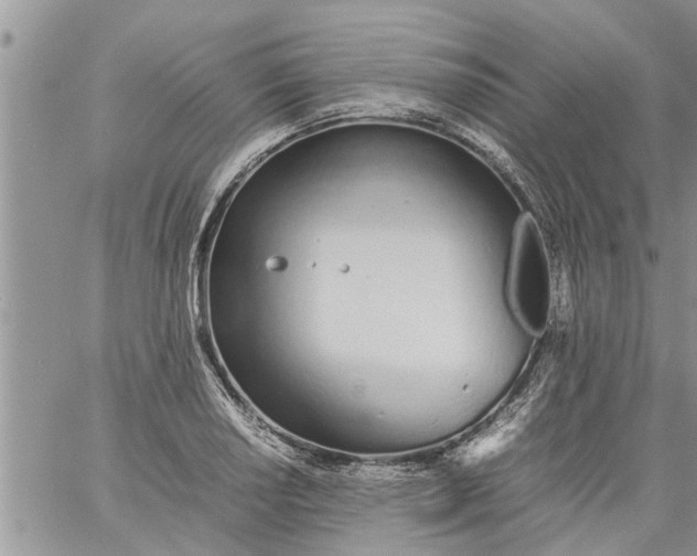 X0000060781034200511241814