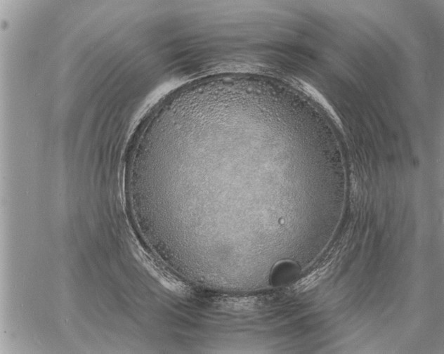 X0000060781035200511241814