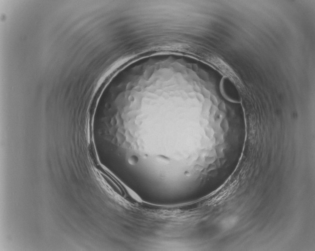 X0000060781036200511241814