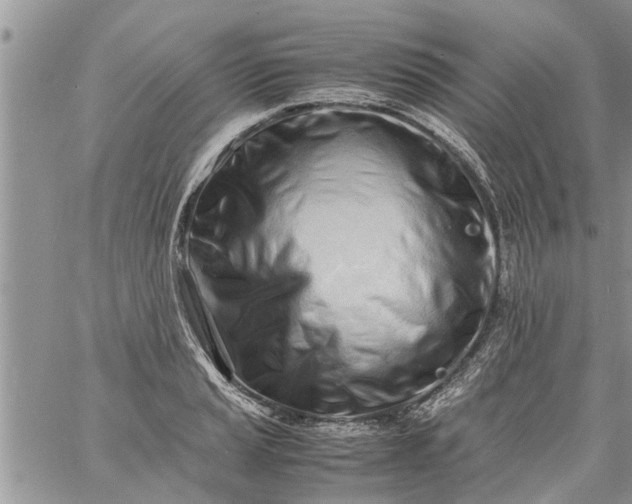 X0000060781037200511241814