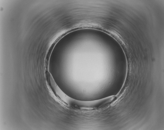 X0000060781038200511241814