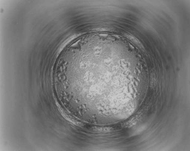 X0000060781039200511241814