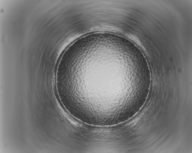 X0000060781040200511241814