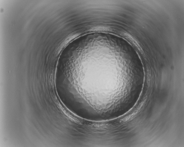 X0000060781041200511241814