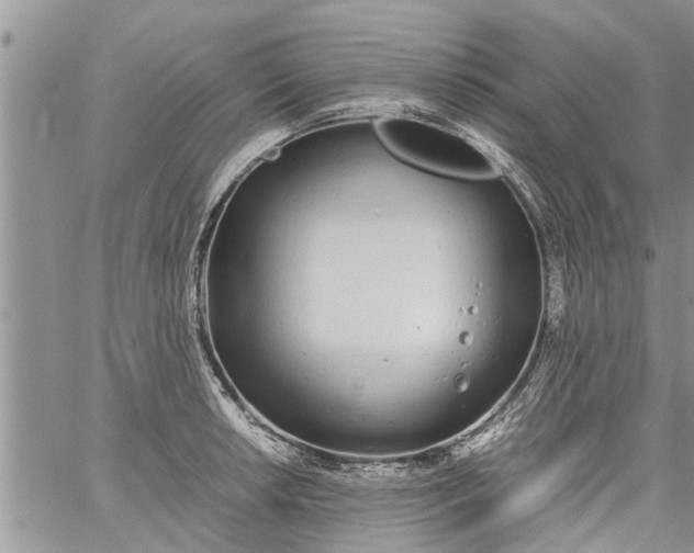 X0000060781042200511241814