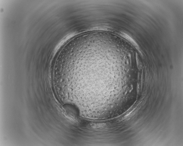 X0000060781043200511241814