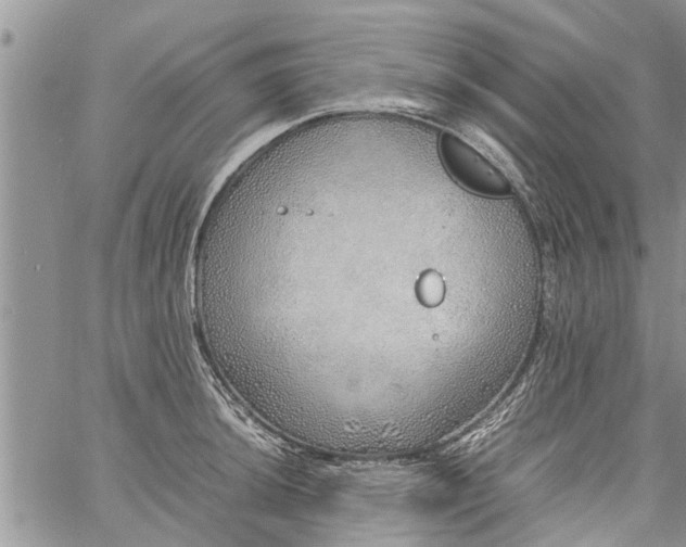 X0000060781044200511241814