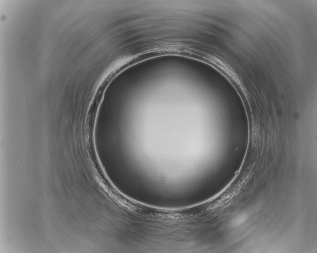 X0000060781045200511241814