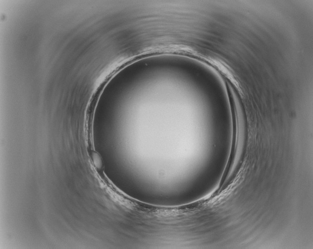 X0000060781046200511241814